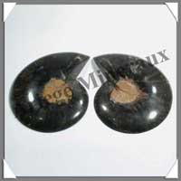 NAUTILE Fossile - 223 grammes - 25x95x80 mm - R016