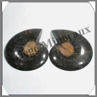 NAUTILE Fossile - 285 grammes - 28x110x90 mm - R017