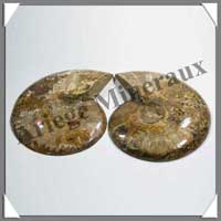 NAUTILE Fossile - 420 grammes - 30x120x100 mm - R019