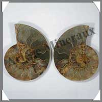 NAUTILE Fossile - 392 grammes - 35x135x108 mm - R020