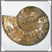 NAUTILE Fossile - 2540 grammes - 48x240x200 mm - R024