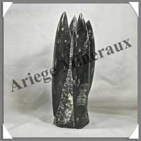 ORTHOCERAS Fossile - 1750 grammes - 80x210x70 mm - C001