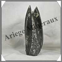 ORTHOCERAS Fossile - 1750 grammes - 80x210x70 mm - C001