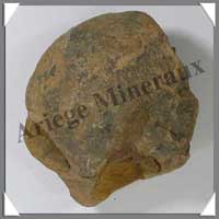 TRILOBITE Fossile - 350 grammes - 45x100 mm - M013