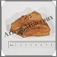 AMBRE (Naturel) - [Taille 3] - 20  30 grammes