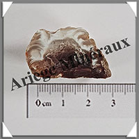 GEODINOS - [Taille 1] - 5  10 grammes