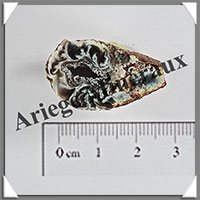 GEODINOS - [Taille 1] - 5  10 grammes