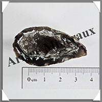 GEODINOS - [Taille 2] - 10  15 grammes