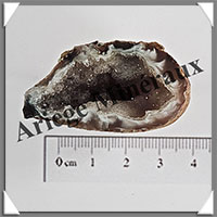 GEODINOS Extra - [Taille 2] - 15  30 grammes