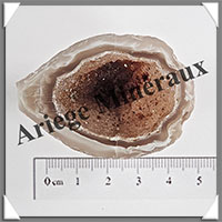 GEODINOS Extra - [Taille 2] - 15  30 grammes