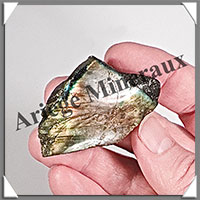 LABRADORITE (Standard) - 1 Face Polie - [Taille 1] - 20  50 grammes
