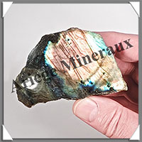 LABRADORITE (Standard) - 1 Face Polie - [Taille 3] - Plus de 100 grammes