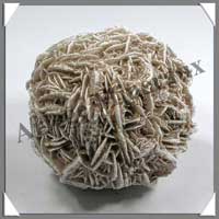 SELENITE - Rose de - [Taille 2] - 70  150 gr