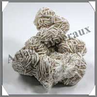 SELENITE - Rose de - [Taille 3] - Plus de 150 gr