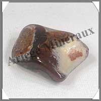 AGATE DE FEU - [Taille 2] - 15  25 mm