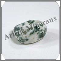 AGATE D'ARBRE - [Taille 1] - 20  30 mm