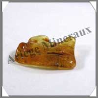 AMBRE - [Taille 2] - 15  25 mm