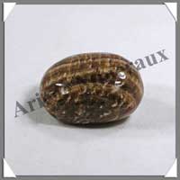 ARAGONITE - [Taille 2] - 30 mm