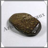 BRONZITE - [Taille 2] - 20  30 mm mm