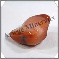 CORNALINE Extra - [Taille 3] - 20  30 mm