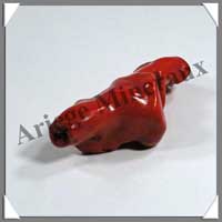CORAIL ROUGE - [Taille 2] - 10  20 gr