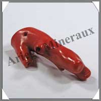 CORAIL ROUGE - [Taille 3] - Plus de 20 gr
