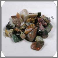 JASPE ORBICULAIRE - Lot de 25 gr