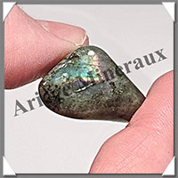 LABRADORITE (Standard) - Polie - [Taille 1] - 15  25 mm
