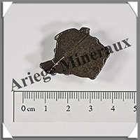 Mtorite de CAMPO DEL CIELO - 24 grammes - 32x24x8 mm - M057
