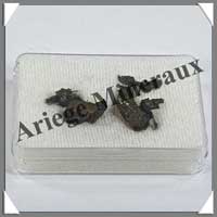 Mtorite de GIBEON - 2 grammes - Multiples Fragments - M029