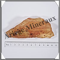 AMBRE (Naturel) - 63 grammes - 110x45x40 mm - A009