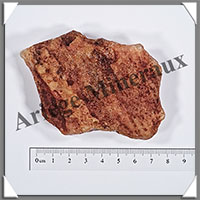 AMBRE (Naturel) - 52 grammes - 85x65x15 mm - A010