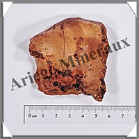 AMBRE (Naturel) - 38 grammes - 60x60x20 mm - A018