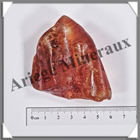 AMBRE (Naturel) - 46 grammes - 65x60x35 mm - A024