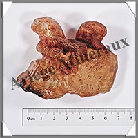 AMBRE (Naturel) - 62 grammes - 75x55x50 mm - A025