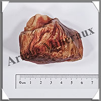 AMBRE (Naturel) - 48 grammes - 65x40x40 mm - A026