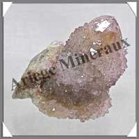 AMETHYSTE CACTUS - 100 grammes - 65x40x40 mm - M005