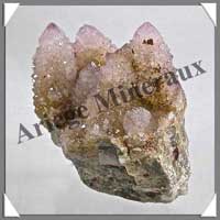 AMETHYSTE CACTUS - 400 grammes - 85x70x45 mm - M009