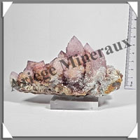 AMETHYSTE CACTUS - 384 grammes - 130x60x55 mm - M020