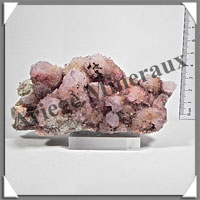 AMETHYSTE CACTUS - 384 grammes - 130x60x55 mm - M020