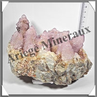 AMETHYSTE CACTUS - 1280 grammes - 150x105x100 mm - M023