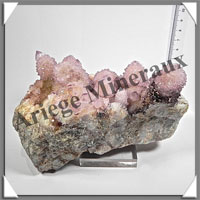 AMETHYSTE CACTUS - 1280 grammes - 150x105x100 mm - M023