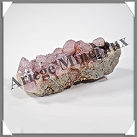 AMETHYSTE CACTUS - 385 grammes - 115x50x50 mm - M033