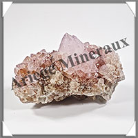 AMETHYSTE CACTUS - 437 grammes - 110x70x70 mm - M036