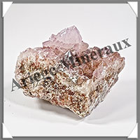 AMETHYSTE CACTUS - 437 grammes - 110x70x70 mm - M036