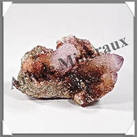 AMETHYSTE CACTUS - 455 grammes - 100x95x60 mm - M039