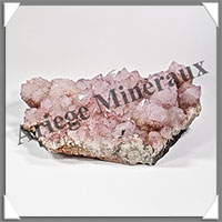 AMETHYSTE CACTUS - 1060 grammes - 180x140x50 mm - M040