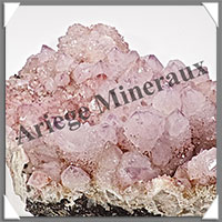 AMETHYSTE CACTUS - 1060 grammes - 180x140x50 mm - M040