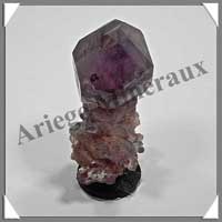 AMETHYSTE Sceptre - 70 grammes - 70x50x50 mm - E061
