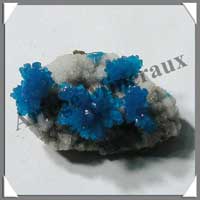 CAVENSITE - 8 grammes - 23x21 mm - C002